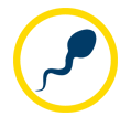 picto spermatozoïde